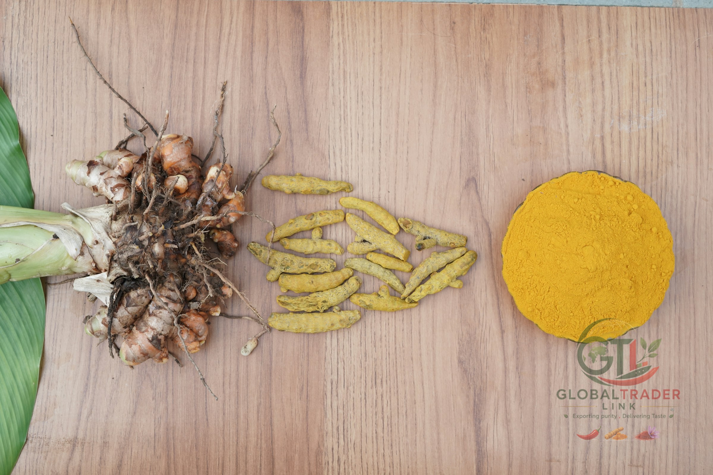 Raw turmeric fingers and powder